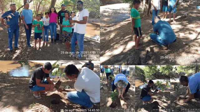 Miranorte promove Dia de Campo com plantio de mudas na APP do Rio Providência